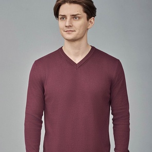 джемпер v-образный ворот LEXMERот 4990,  в ассортименте